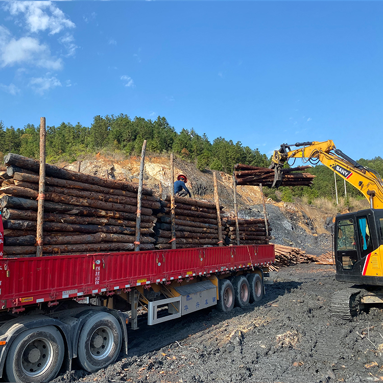 防洪防汛用的松木樁/杉木樁哪里有賣？