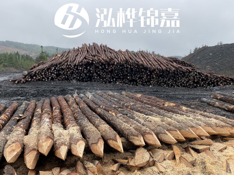 6米長松木樁有哪些作用，多少錢一根？