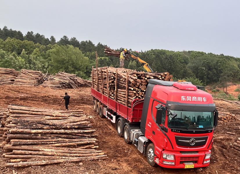 落葉松可以做防腐木嗎，如何制作落葉松防腐木