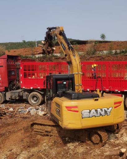松木原木、松木條，漲勢如虹，現(xiàn)在搶購最劃算(附松木原木供應(yīng)廠家介紹)