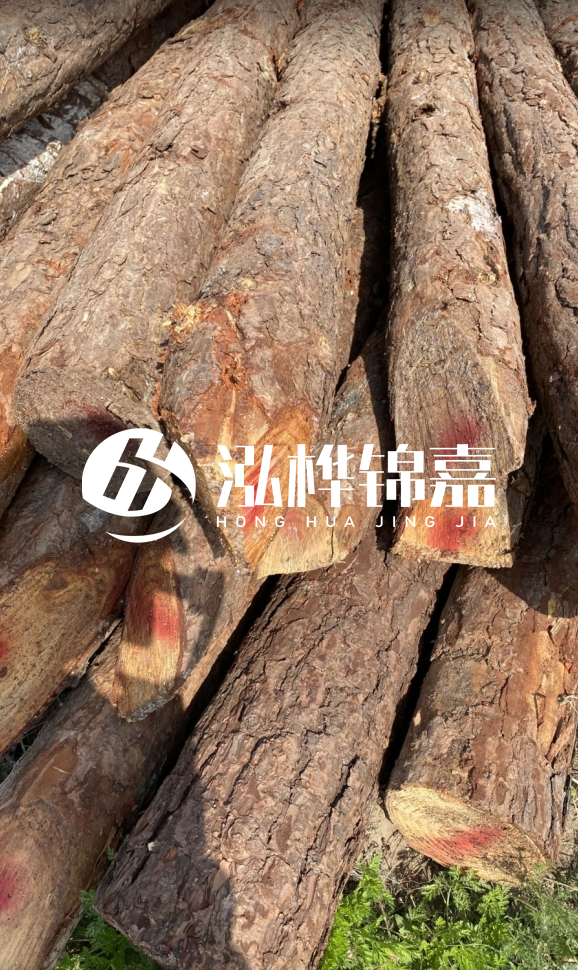 <strong>松木樁和杉木樁的用途區(qū)別？哪個更適合打樁用？</strong>