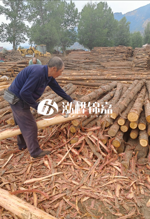 東營河道清淤專業(yè)施工隊(duì)-不同型號(hào)挖機(jī)清淤能力對(duì)比？