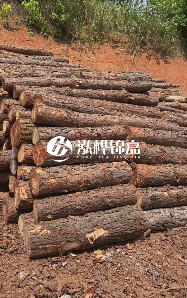 七臺河河道清淤專業(yè)施工-河道清淤的淤泥多久能干？