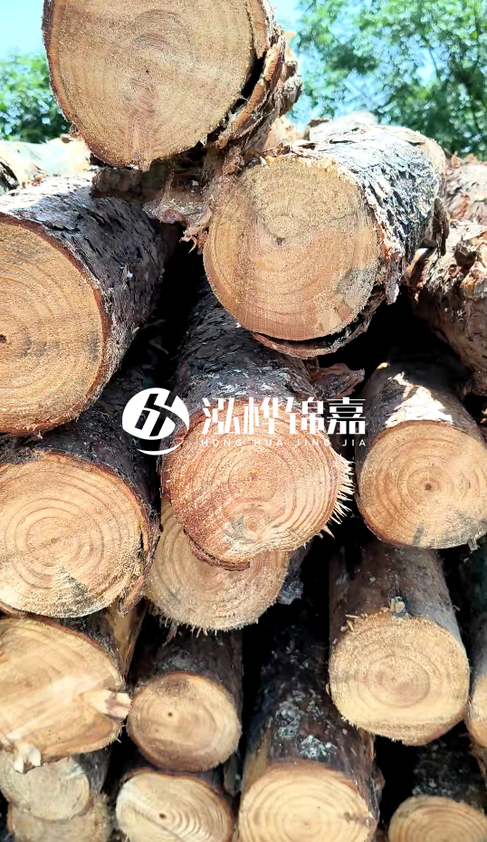 周口挖機打木樁專業(yè)施工-杉木樁施工打樁怎么打？