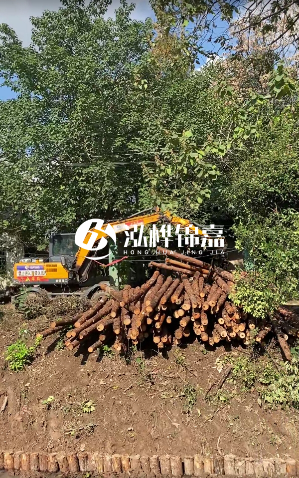 隨州松木樁源頭廠(chǎng)家-杉木樁打樁木的價(jià)格比松木樁貴嗎？