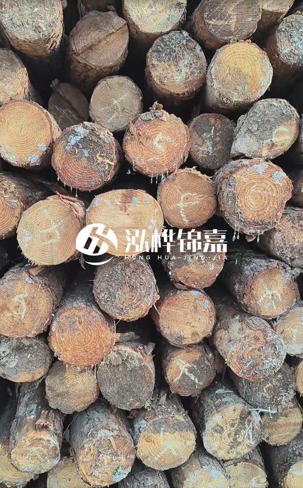 邵陽松木樁源頭廠家-松木樁護(hù)岸適合哪些地理環(huán)境？