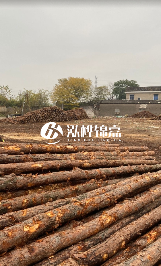 欽州松木樁源頭廠家-松木樁河道治理相比其他材料有何優(yōu)勢(shì)？