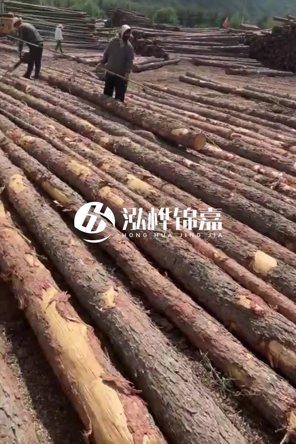 ?？谒赡緲对搭^廠家-松木樁最長(zhǎng)可以做多少米？