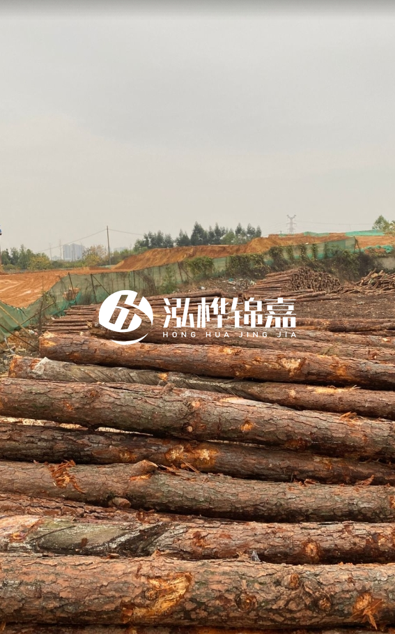 攀枝花松木樁源頭廠家-河道松木樁廠家聯(lián)系方式？