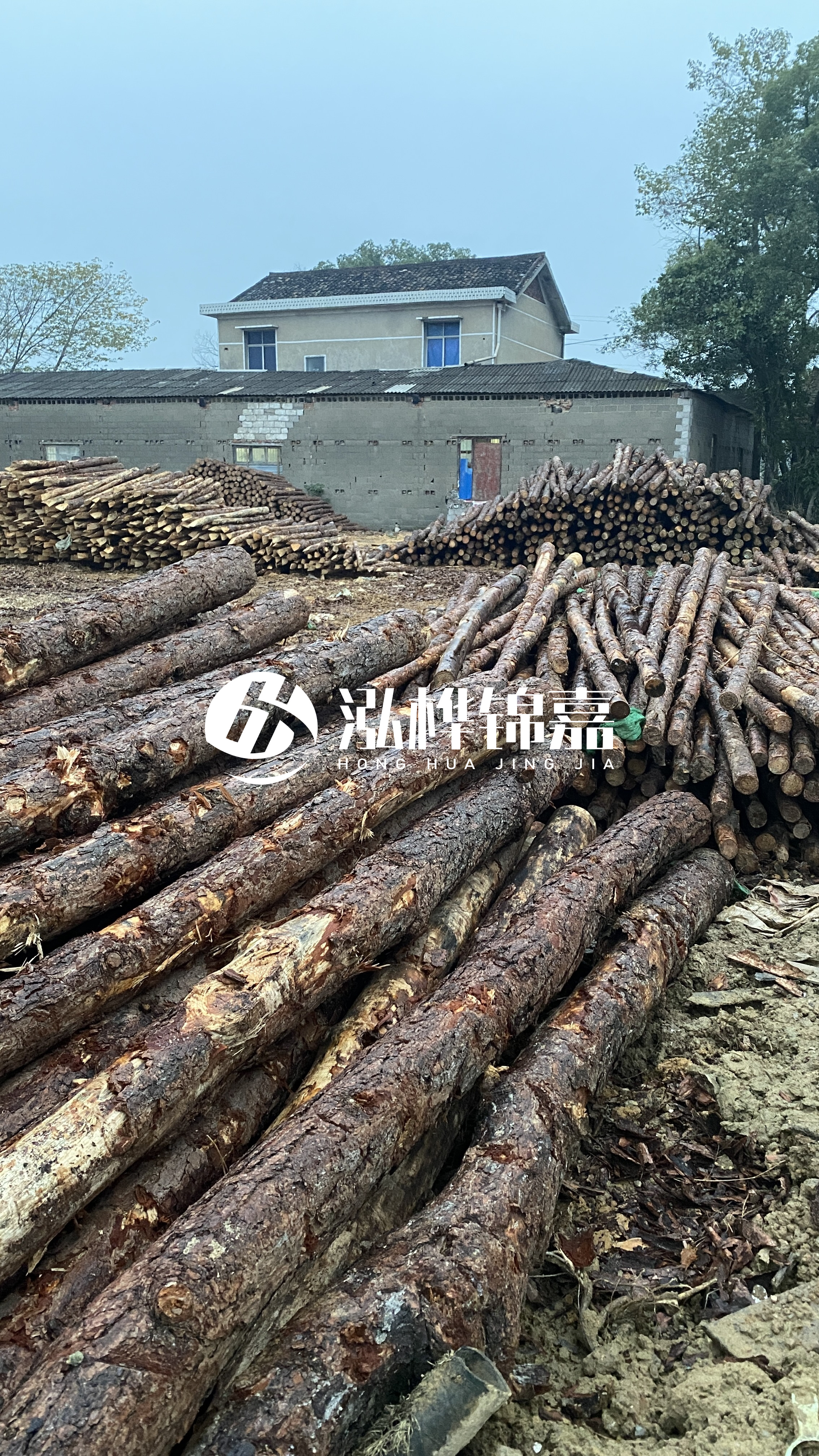 資陽松木樁源頭廠家-工地松木樁的采購渠道有哪些？