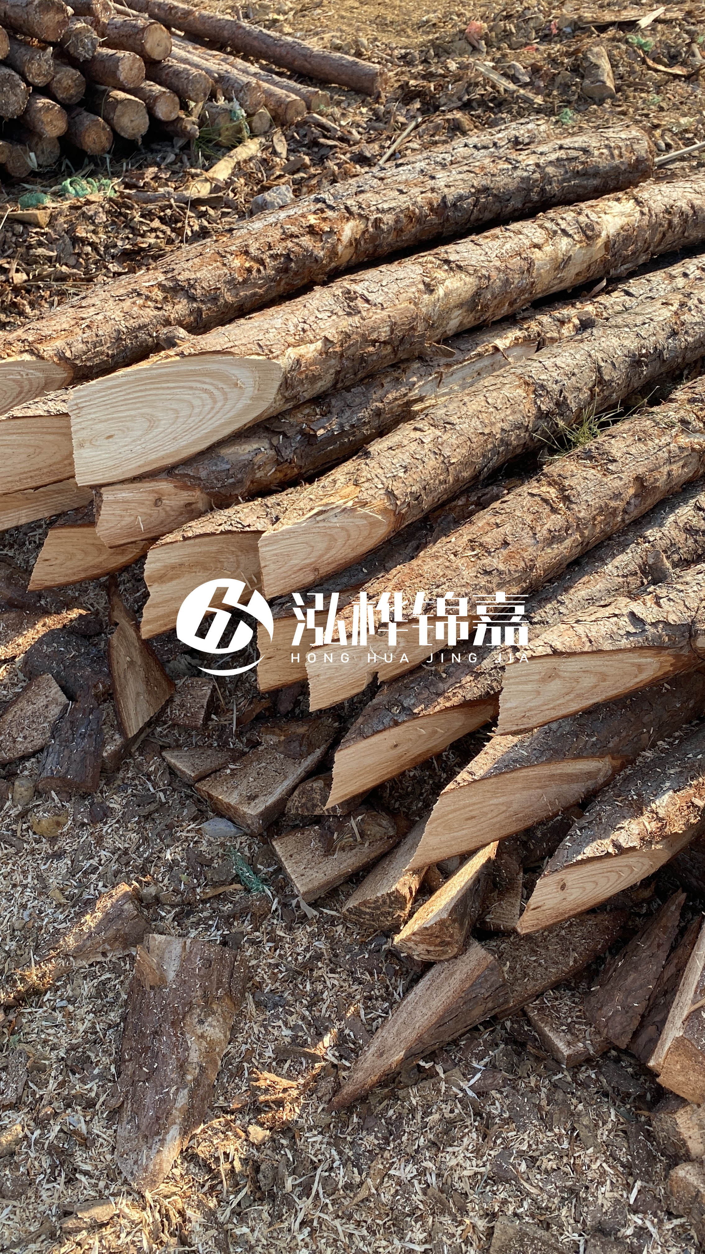 渭南松木樁批發(fā)源頭廠家-杉木樁4米小頭12公分大頭是多少？