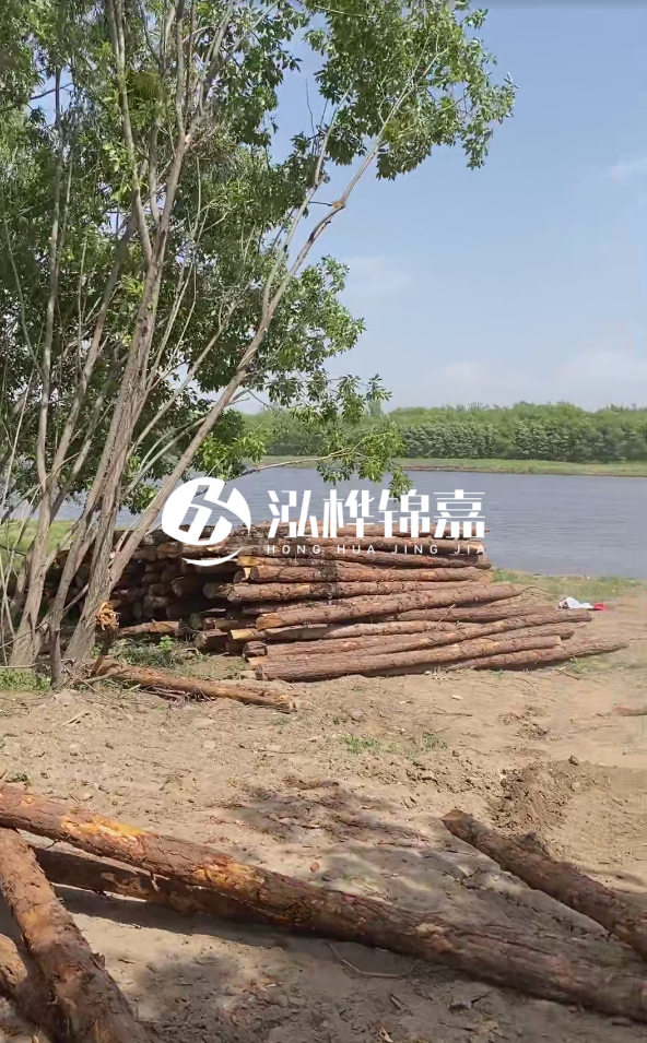 慶陽挖機(jī)打木樁專業(yè)施工-松木打樁過程中如何避免木材開裂？