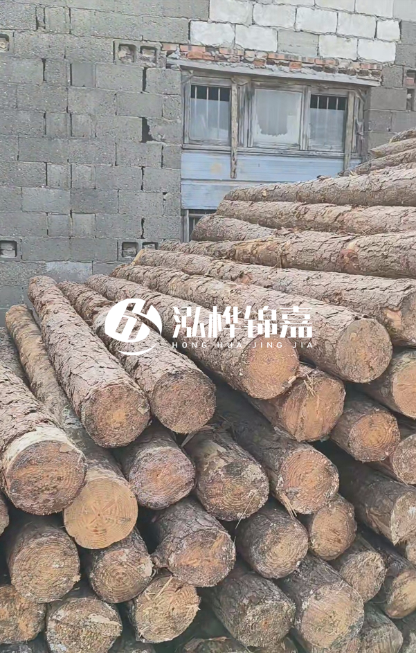 2025最新松木樁價(jià)格揭秘：松木樁一方到底多少錢？