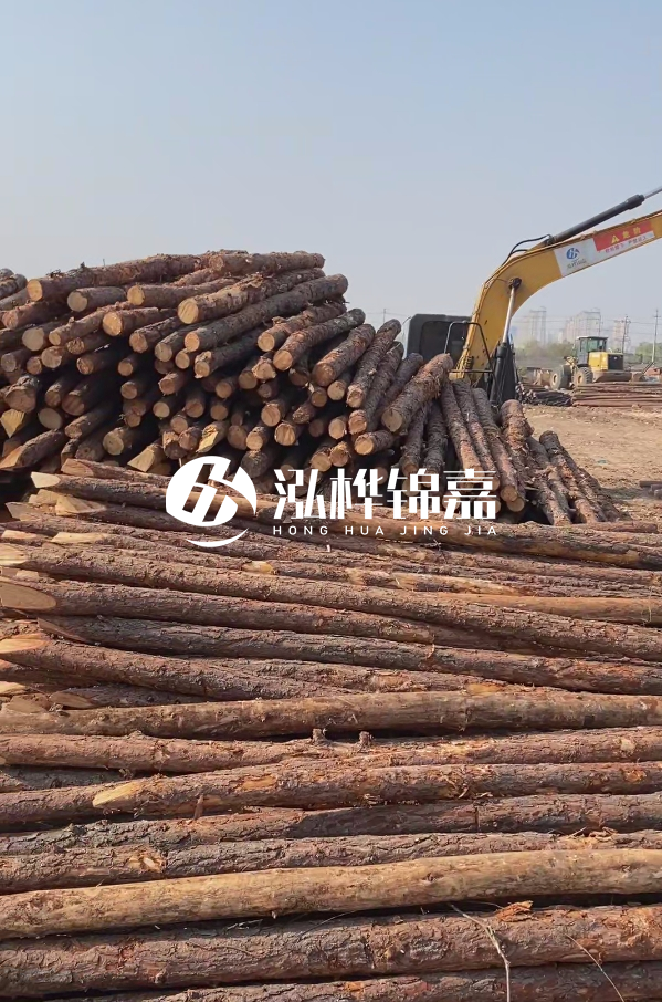 油松用于打樁木到底好不好？讓專業(yè)打樁隊(duì)告訴你！