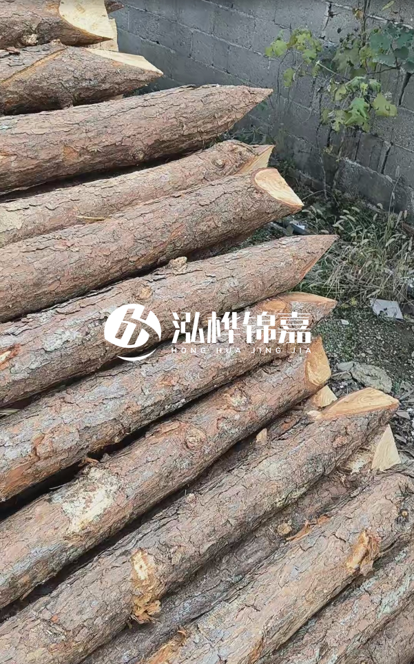 松木樁哪里能大量供應(yīng)？4米20公分松木樁價(jià)格是多少？