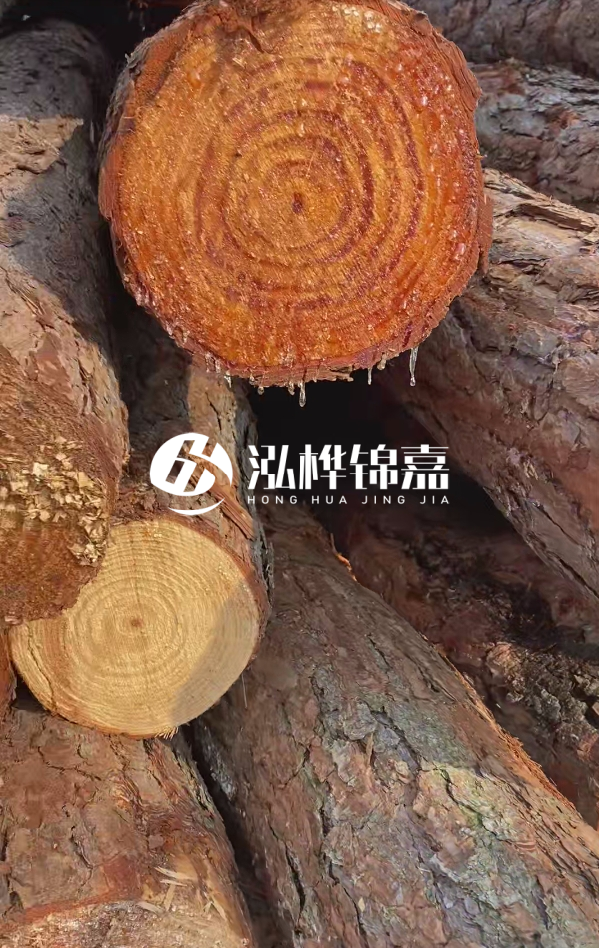 6米松木樁尾部11-14頭部多少？怎么算出來的？