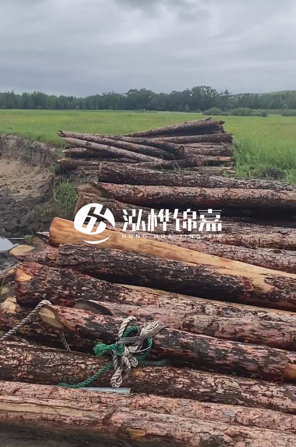 4米松木樁多少錢一根？松木樁預(yù)算單價(jià)怎么算的？