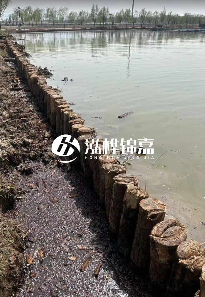 長(zhǎng)沙松木樁批發(fā)市場(chǎng)在哪？廠家地址是多少？