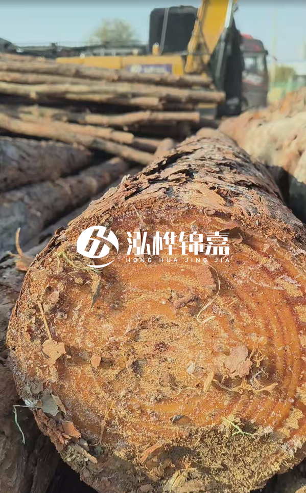 杉木樁價(jià)格多少錢(qián)一方-3米直徑14公分杉木樁價(jià)格？