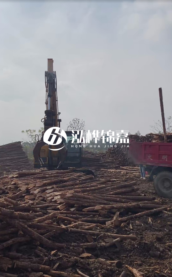 6米打樁木多少錢(qián)一根-6米10-15公分價(jià)格是多少？