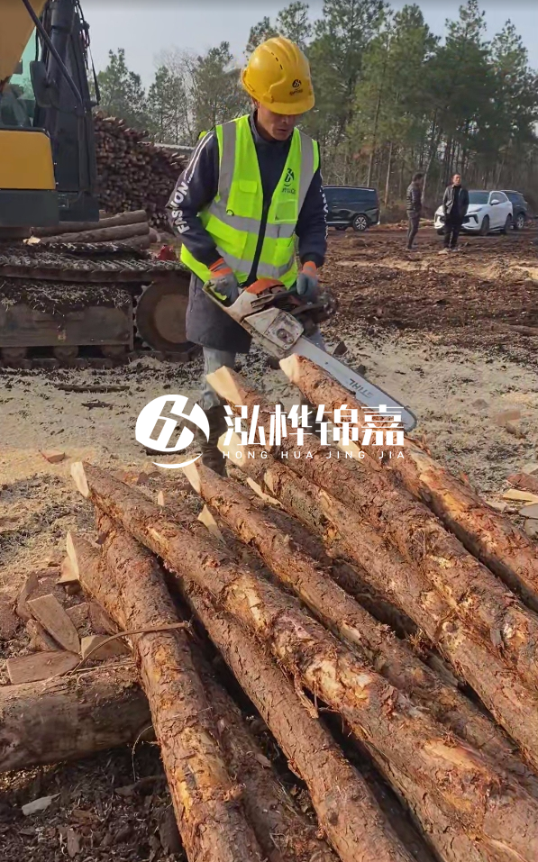 松木樁樁長(zhǎng)1.5米稍徑12多少錢(qián)一根？樁長(zhǎng)1.5米稍徑12大頭多少？