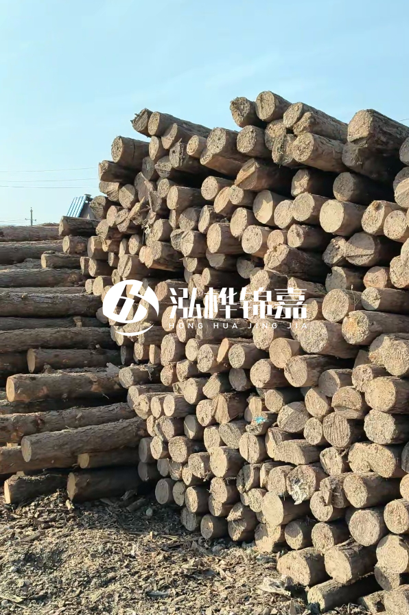 江西哪里有松木樁賣-4米12-14公分松木樁價格揭秘！