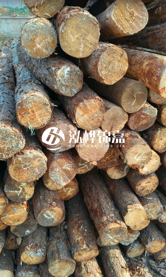 油松3米12公分多少錢一根？油松4米12公分多少錢一根？