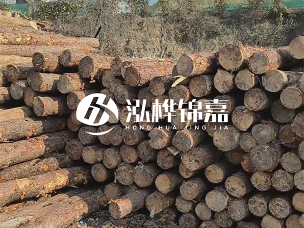 落葉松木材的主要產(chǎn)地在哪里？為什么比其他松木更耐腐蝕？