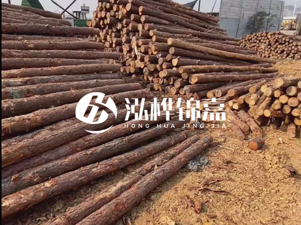 河道木樁施工遇到淤泥怎么辦？打多深才能防沖刷？