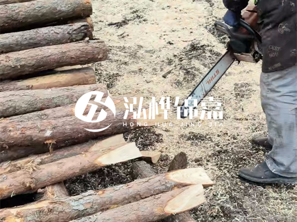 杉木樁批發(fā)廠家哪家好？產(chǎn)地直供渠道推薦！