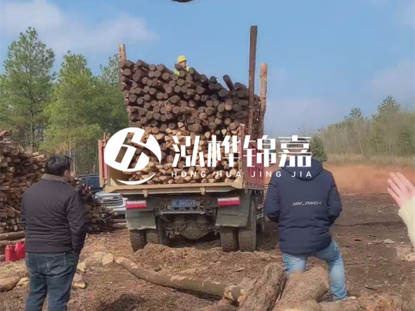 松木樁價格是按米算還是按根算？6米松木樁批發(fā)價每根多少錢？