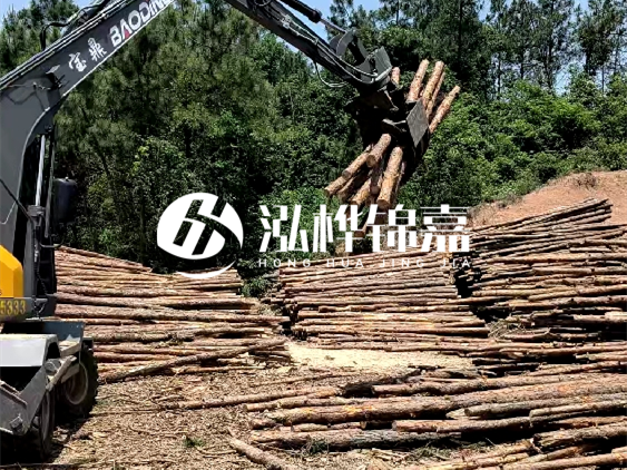 3米松木樁小頭10公分多少錢一根？大頭10公分又是多少錢？