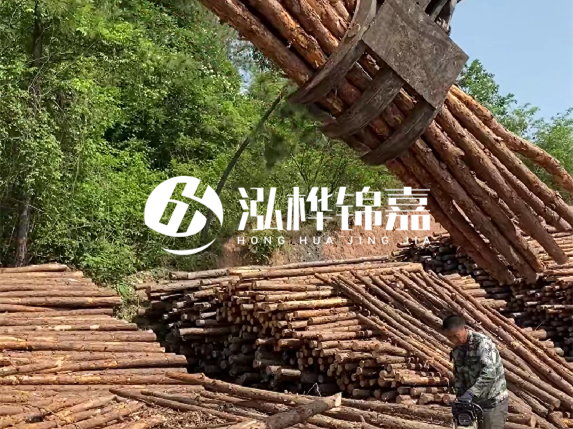 哪里能買到優(yōu)質(zhì) 3 米松木樁？長沙有松木樁批發(fā)工廠嗎？