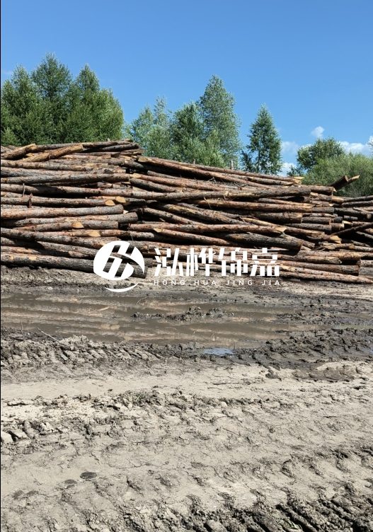 3米松木樁適合河道護坡嗎？小頭直徑8厘米的松木樁價格如何？