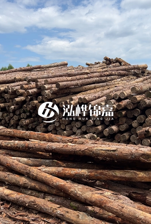 松木打樁木的價格波動受哪些因素影響？杉木樁能代替松木樁嗎？