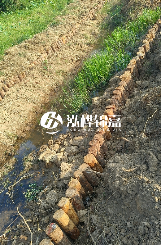 湖南松木樁批發(fā)廠家直銷-松木樁做碳化多少錢一根？