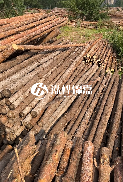 松木樁頭徑120尾徑多少？尾徑和松木樁長度有關(guān)系嗎？