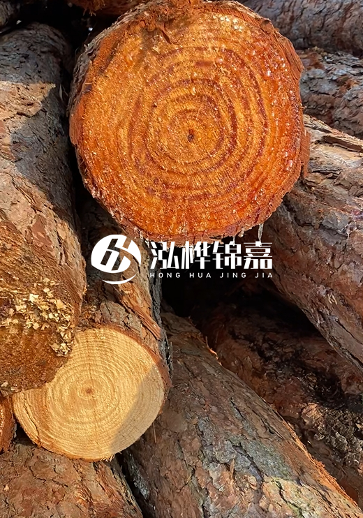 江西河道打樁木廠家泓樺錦嘉-河道打樁木如何避免中間商？