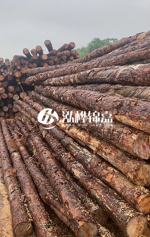 購買松木樁注意事項有哪些-不同直徑松木樁區(qū)別有哪些？