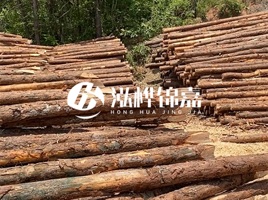 松木樁的運(yùn)輸費(fèi)用是否包含卸車費(fèi)？卸貨時(shí)需要注意哪些安全問題？