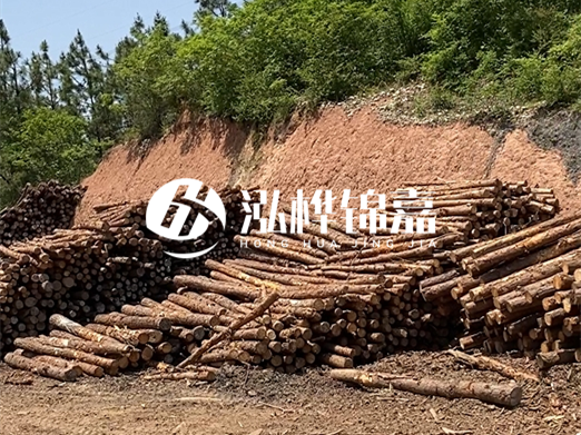 油松打樁木和落葉松打樁木的價(jià)格差異是多少？哪個(gè)性價(jià)比更高？