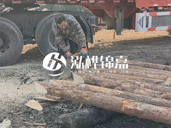 松木圓木價(jià)格大概多少一方-松木樁廠家按方可以賣嗎？