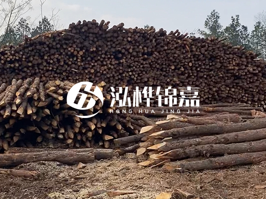 地基打木樁用什么木材 - 地基打木樁的能撐幾年？