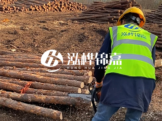 哪些木樁廠家能提供快速定制服務(wù)？哪些木樁廠家在國內(nèi)有多個生產(chǎn)基地？