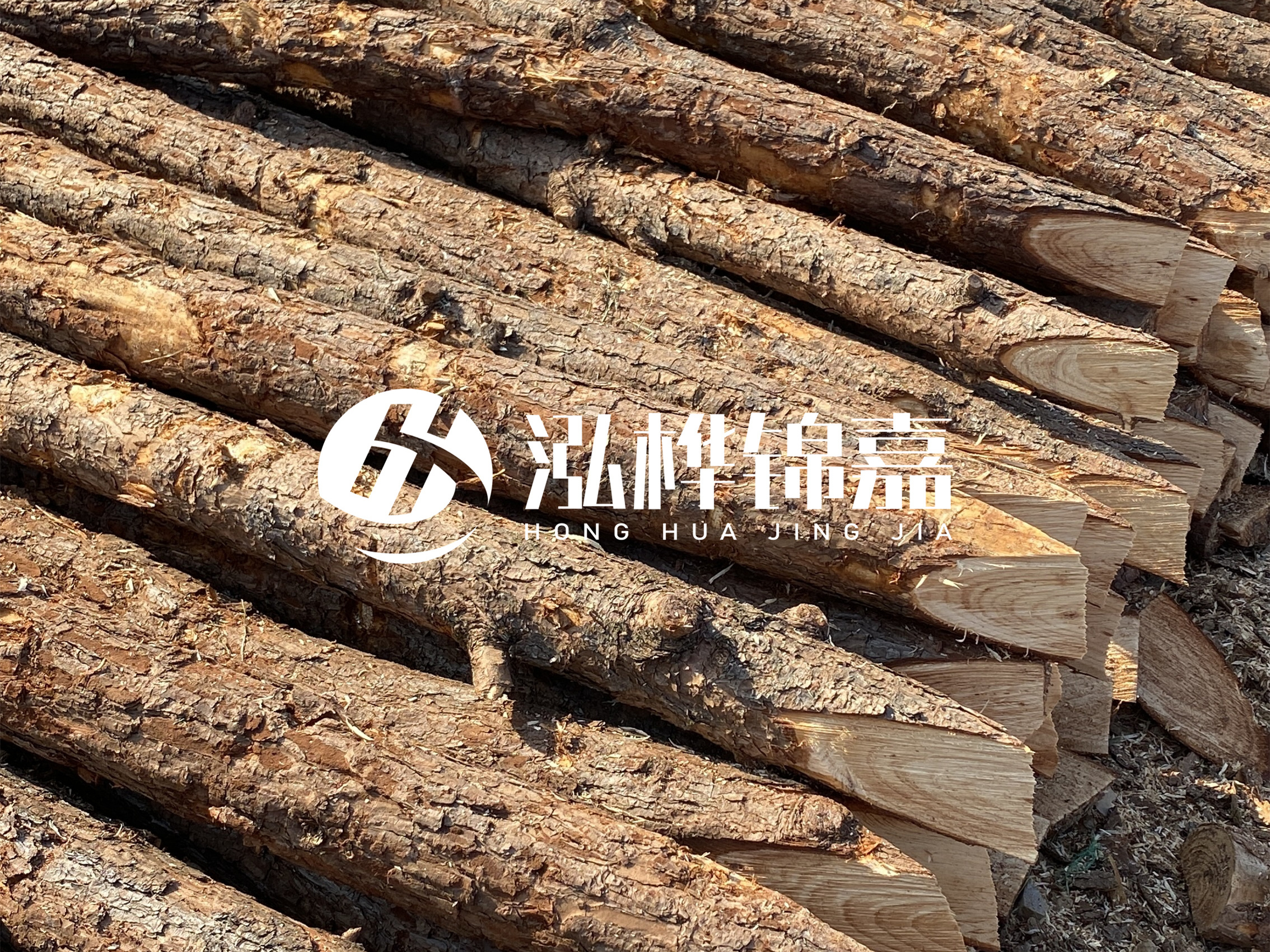 8 米超大直徑松木樁的價(jià)格是多少？帶皮和去皮松木樁價(jià)格差多少？