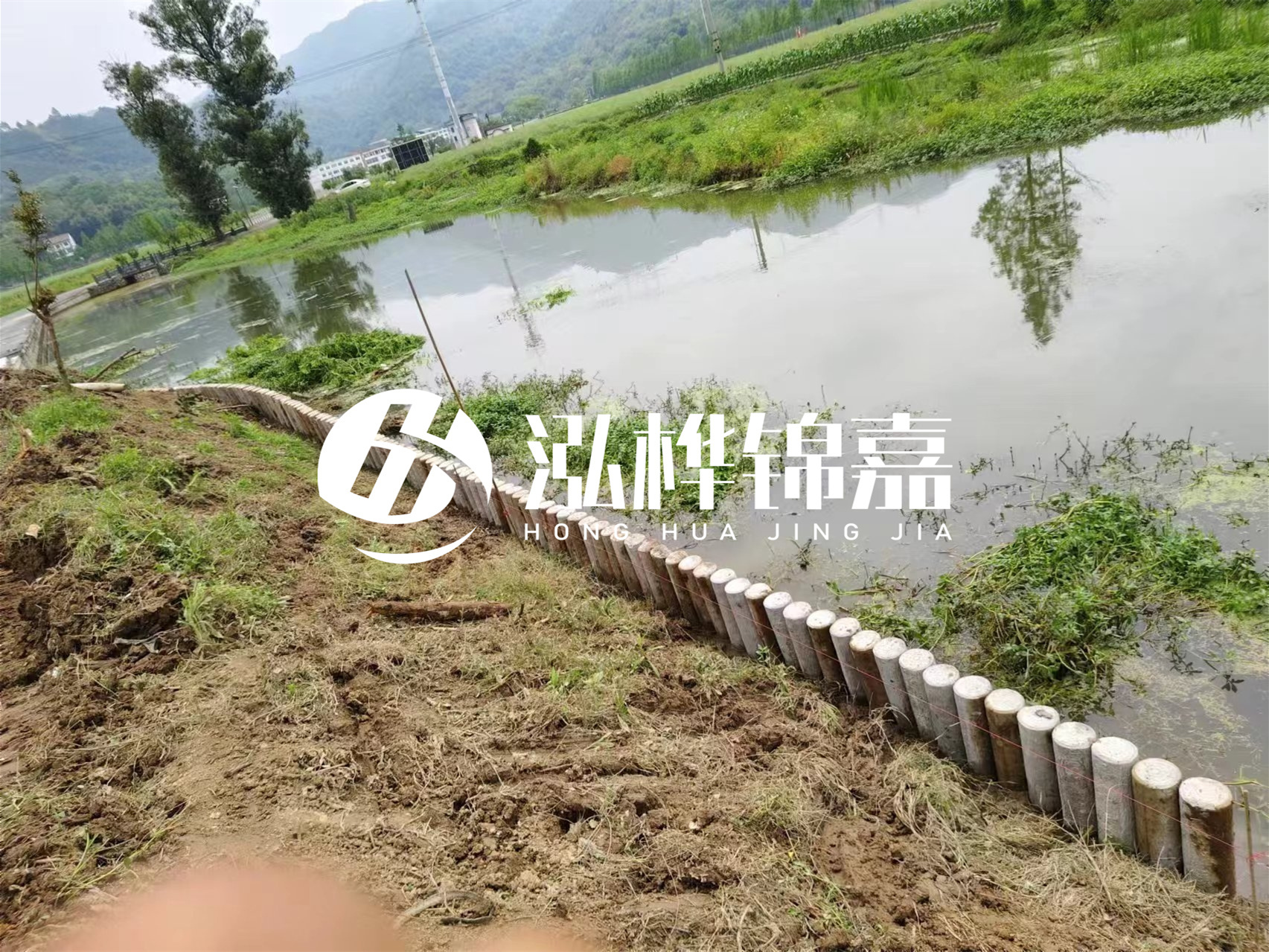 松木樁加固河道與水泥樁對(duì)比如何？哪一種更加適合您？