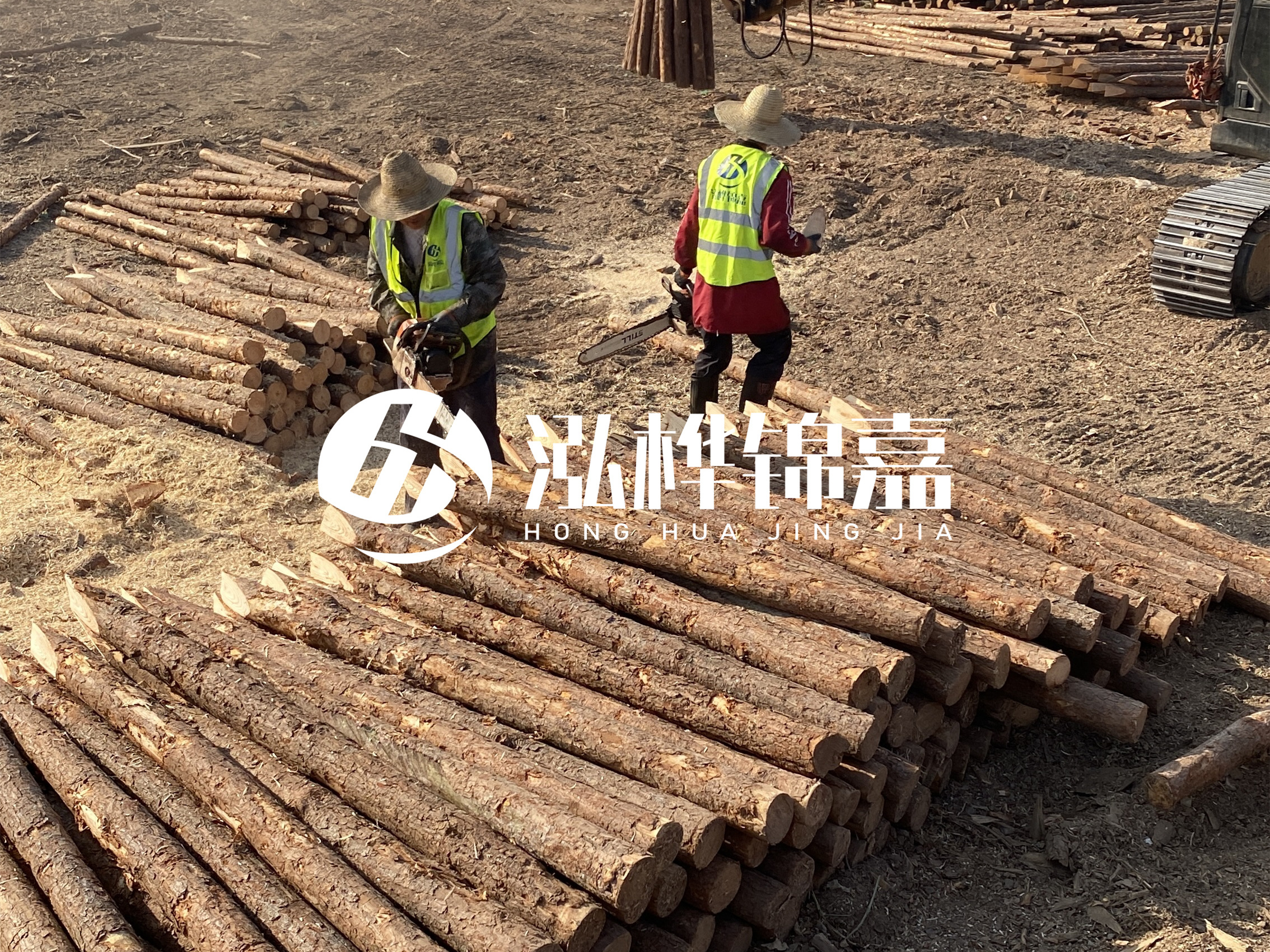 河道木樁報(bào)價(jià)在汛期前后會(huì)有波動(dòng)嗎？什么時(shí)候買最便宜？