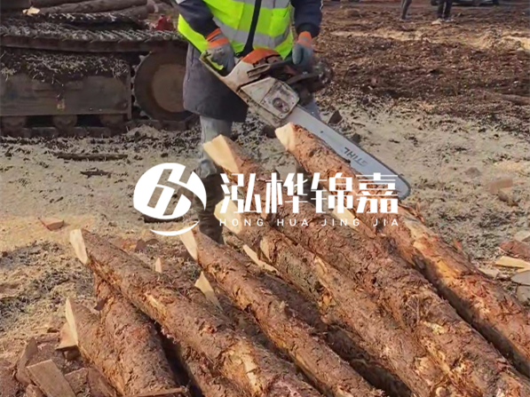 松木樁河道護(hù)坡怎么施工？打樁多少錢一根？
