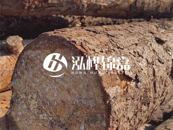 松木樁如何做到千年不腐的？松木樁打地基耐用年限揭秘