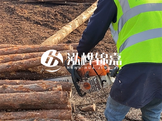 河道打木樁多少錢一根？5米直徑10松木樁打樁多少錢？